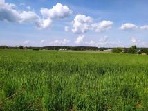 Działka rolna Jania Góra