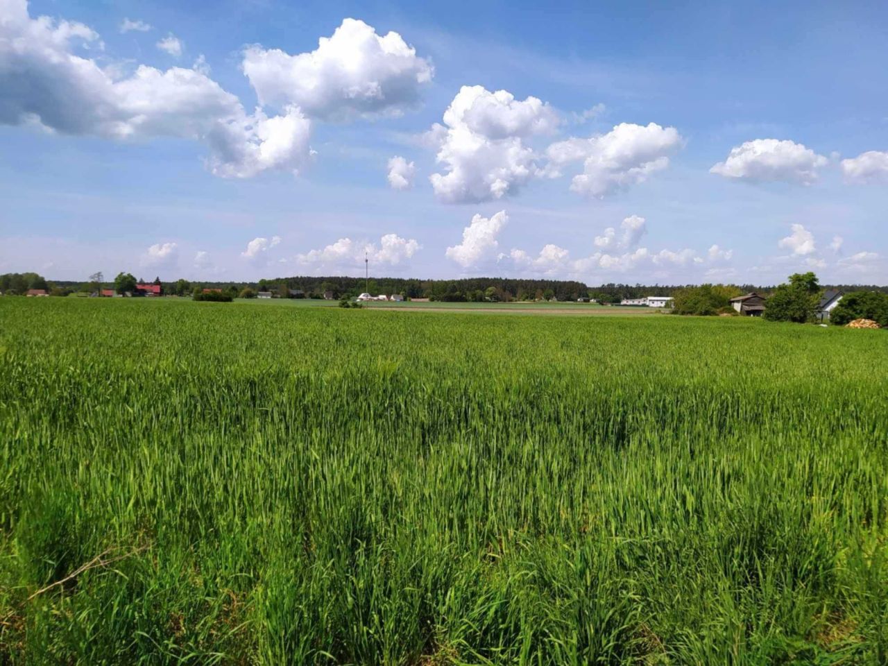 Działka rolna Jania Góra