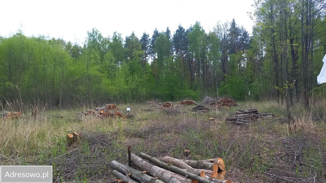 Działka budowlana Pilawa, ul. Jana Kochanowskiego. Zdjęcie 6