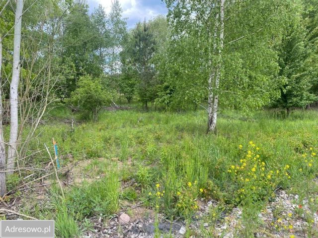 Działka budowlana Młyniec Drugi. Zdjęcie 1