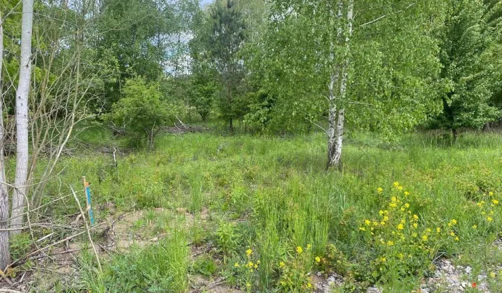 Działka budowlana Młyniec Drugi