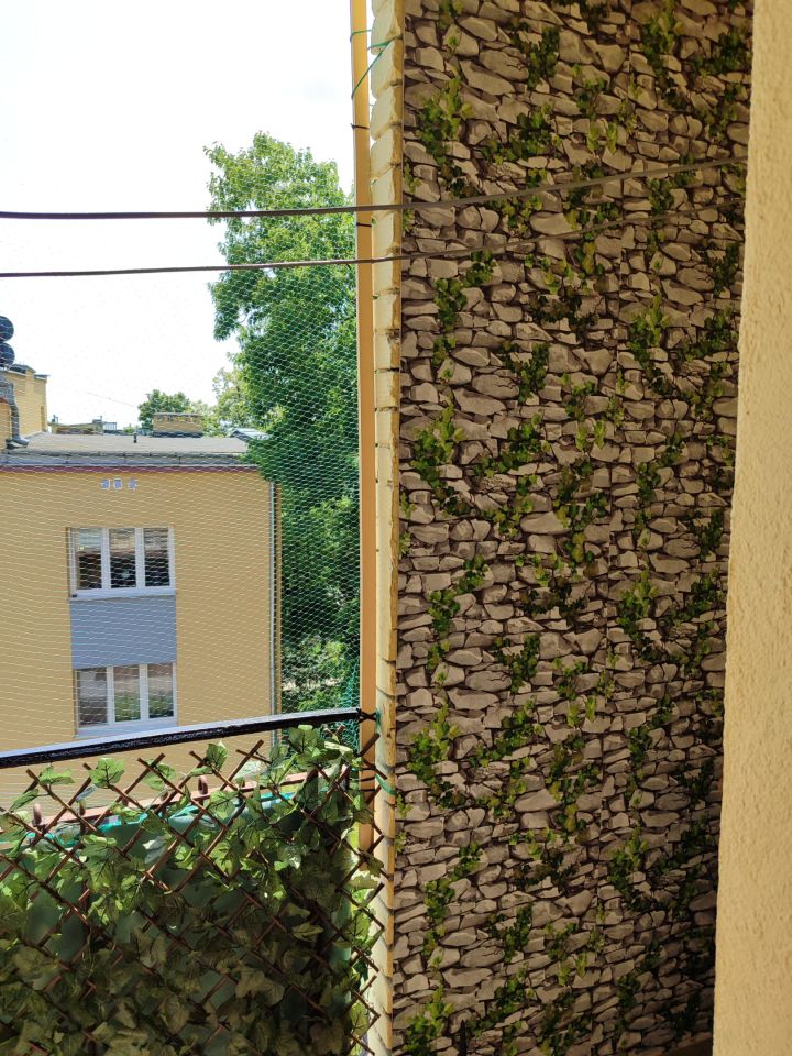 Mieszkanie 2-pokojowe Starachowice Centrum, ul. Henryka Sienkiewicza. Zdjęcie 11