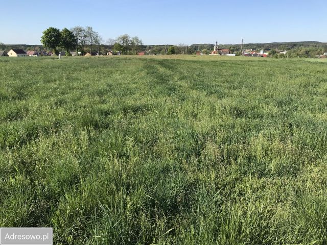 Działka budowlana Mąkoszyce. Zdjęcie 1