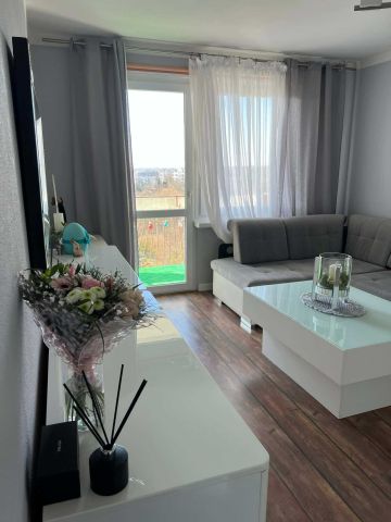 Mieszkanie 2-pokojowe Szczecin Centrum. Zdjęcie 1