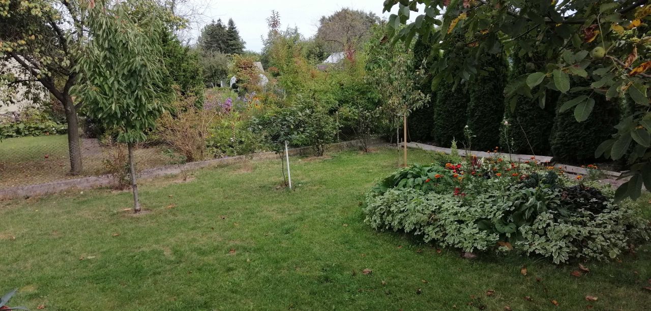 Działka rod Poddębice. Zdjęcie 8