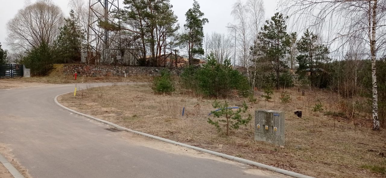 Działka budowlana Borowy Młyn, ul. Spacerowa. Zdjęcie 10