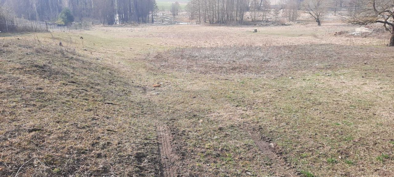 Działka rolna Stare Krzywe. Zdjęcie 2