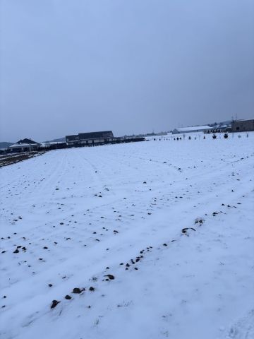 Działka budowlana Morzewo. Zdjęcie 1