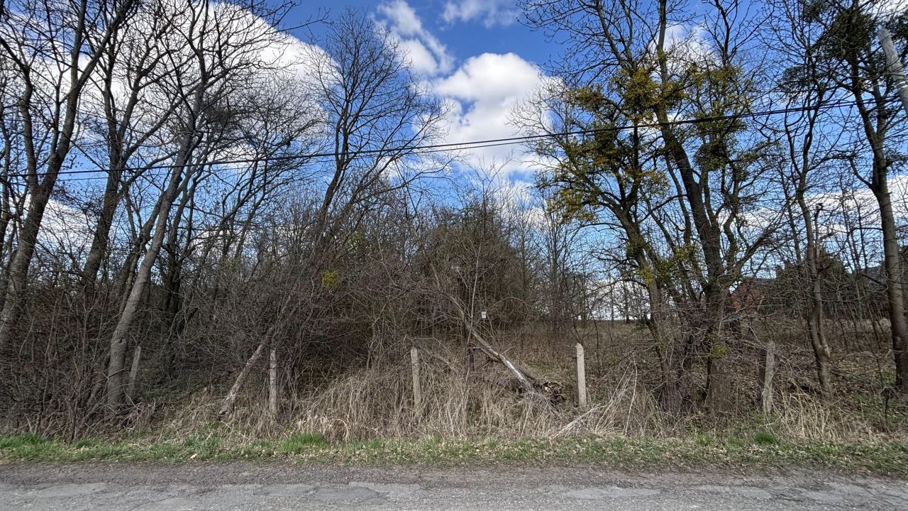 Działka rolno-budowlana Biadacz, ul. Kozłowicka. Zdjęcie 7