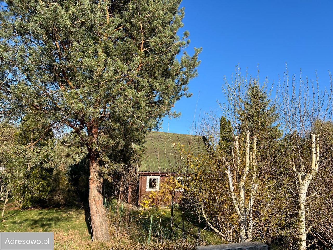 dom letniskowy, 2 pokoje Rynia, ul. Główna. Zdjęcie 14