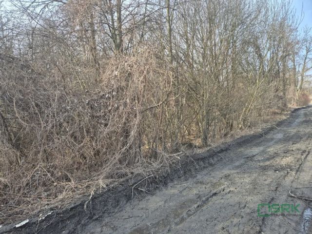Działka budowlana Kaniów, ul. Stefana Kóski. Zdjęcie 2