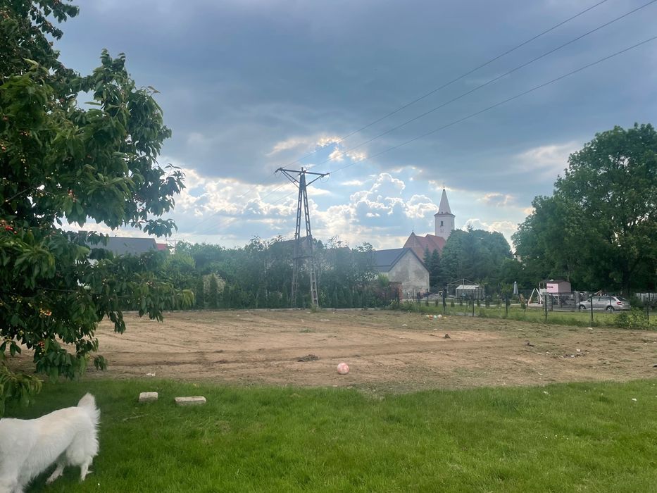 Działka rolno-budowlana Pogorzela, ul. Akacjowa. Zdjęcie 3