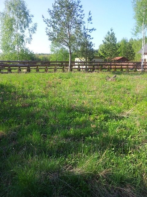 Działka rekreacyjna Pilec. Zdjęcie 6