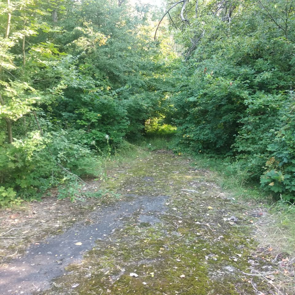 dom wolnostojący Bemowo Piskie, ul. Lipowa. Zdjęcie 24