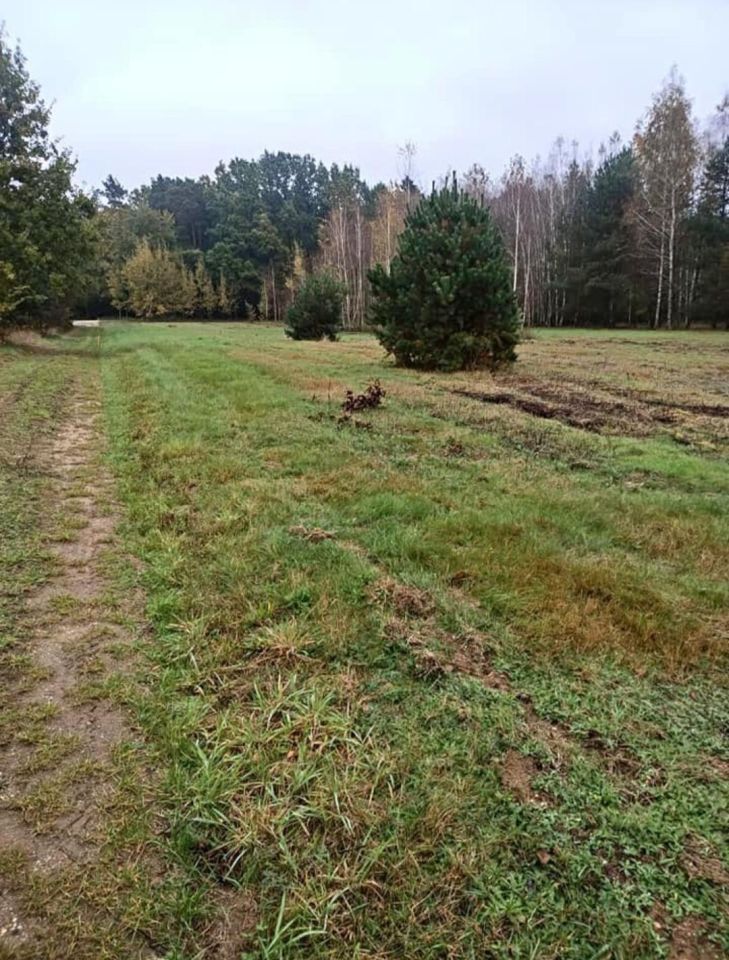 Działka budowlana Kłoda Monastyrek, ul. Brzozowa. Zdjęcie 4