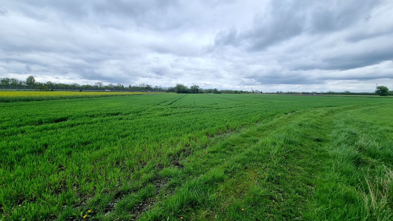 Działka rolna Żuków. Zdjęcie 8