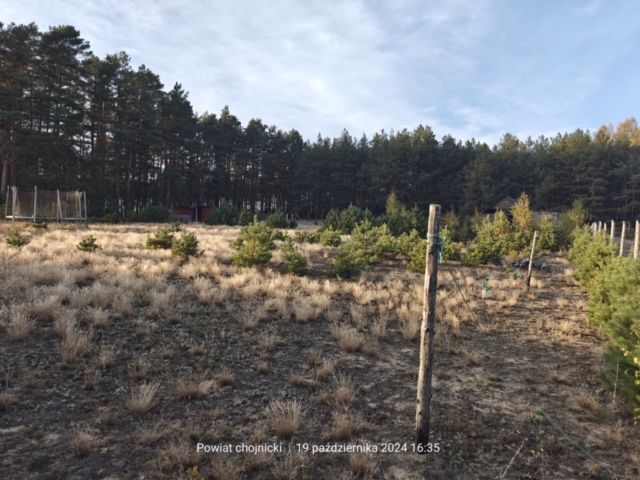 Działka rolno-budowlana Zbrzyca. Zdjęcie 12