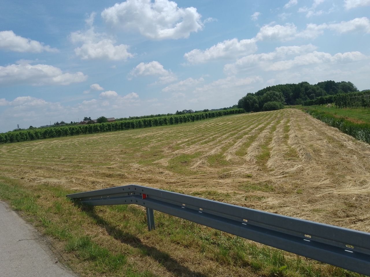 Działka budowlana Widów. Zdjęcie 2