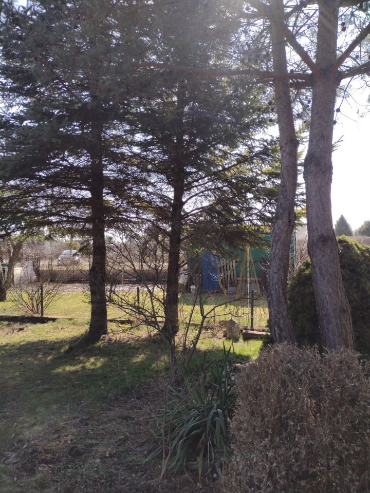 Działka rod Zawiercie Centrum, ul. Rzemieślnicza. Zdjęcie 2