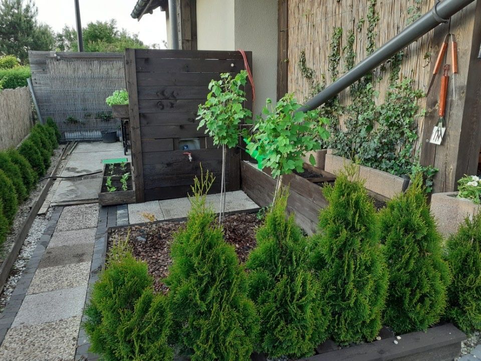 Działka rod Zabrze Kończyce, ul. Ignacego Paderewskiego. Zdjęcie 7