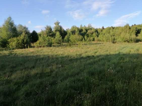 Działka inwestycyjna Huta Szklana. Zdjęcie 1