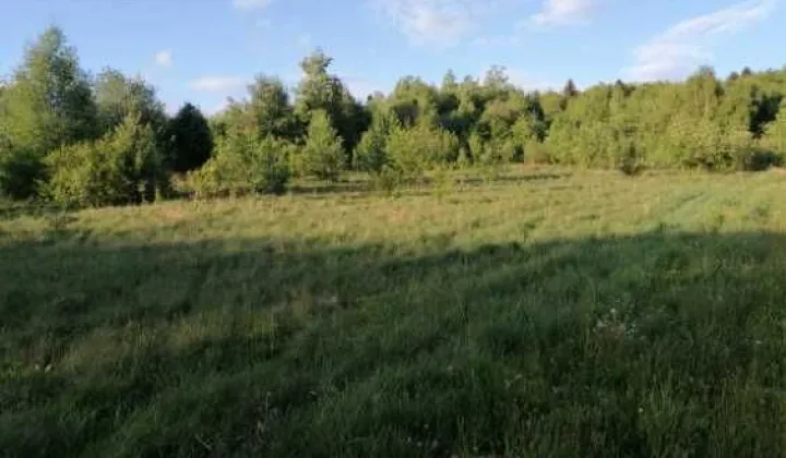 Działka inwestycyjna Huta Szklana