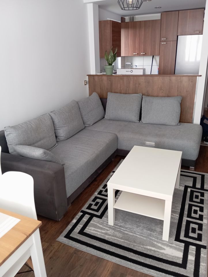 Mieszkanie 2-pokojowe Rybnik Śródmieście, ul. Dworek. Zdjęcie 4