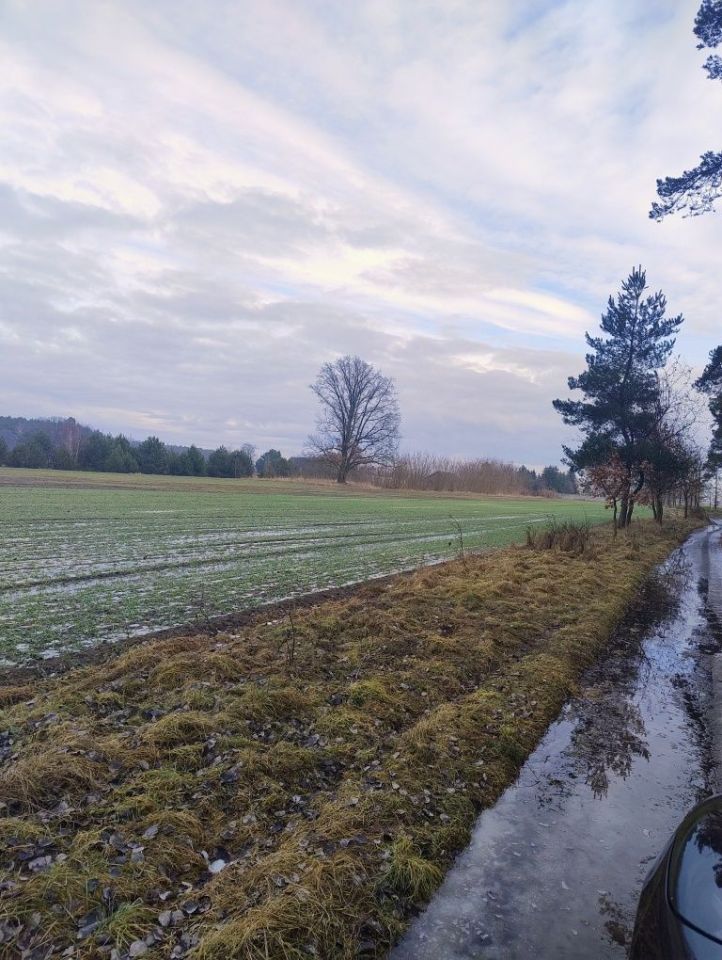 Działka budowlana Adamowo. Zdjęcie 2