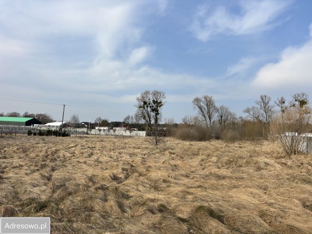 Działka inwestycyjna Bugaj, ul. Kobylnicka. Zdjęcie 1