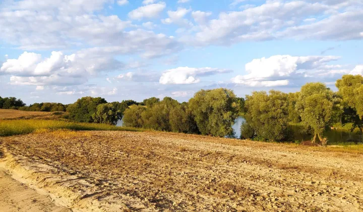 Działka rolno-budowlana Trąbin-Rumunki