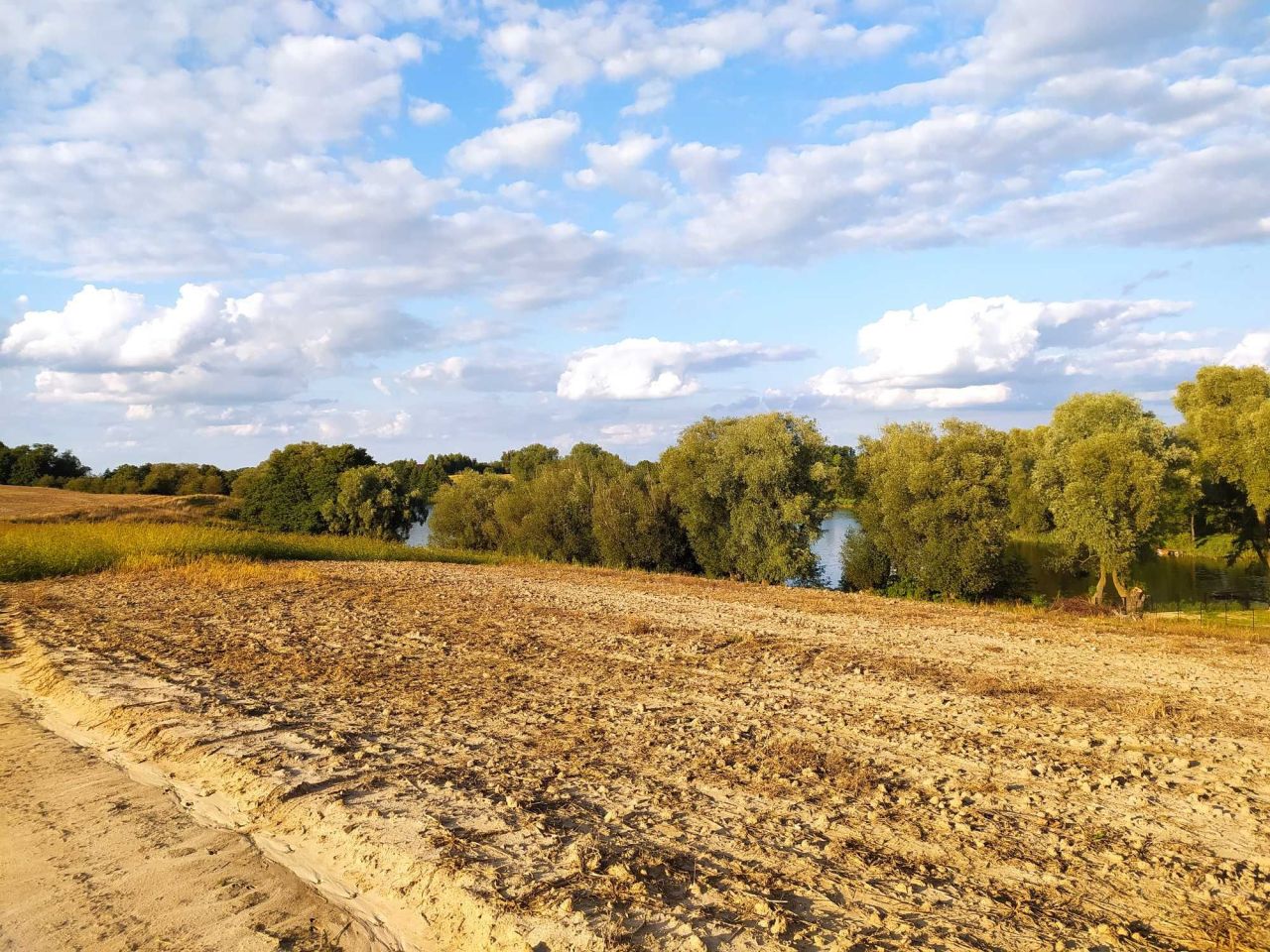 Działka rolno-budowlana Trąbin-Rumunki. Zdjęcie 1