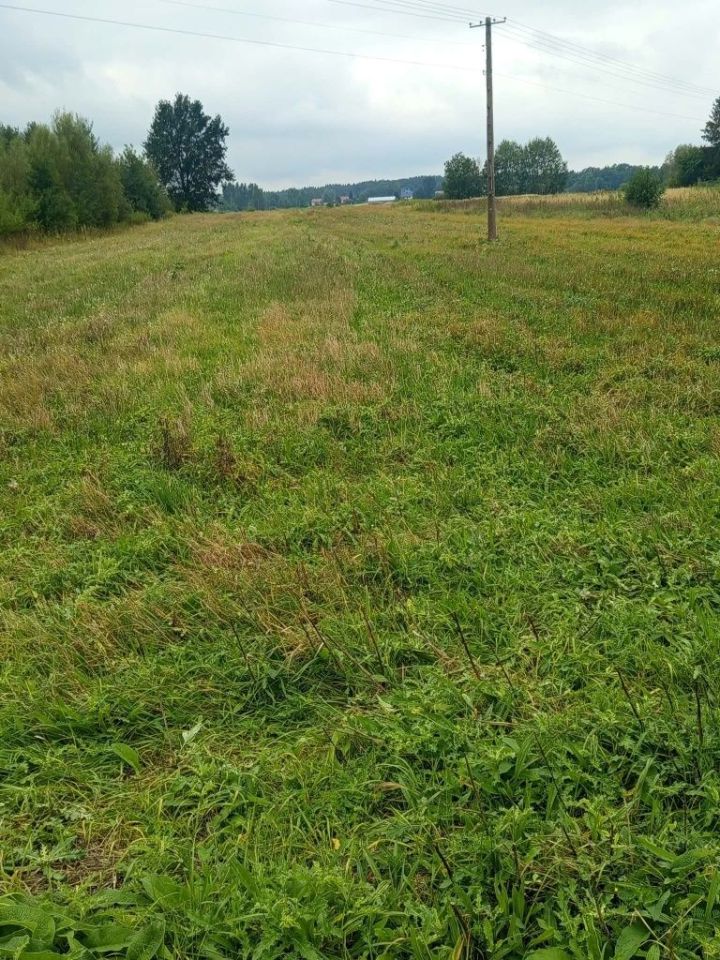 Działka rolna Małec. Zdjęcie 1