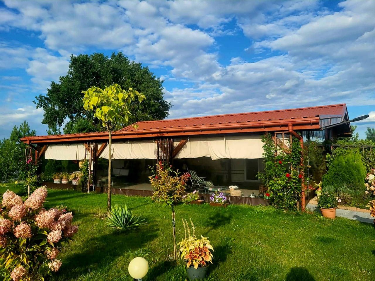 Działka rolno-budowlana Jarczechowo. Zdjęcie 1