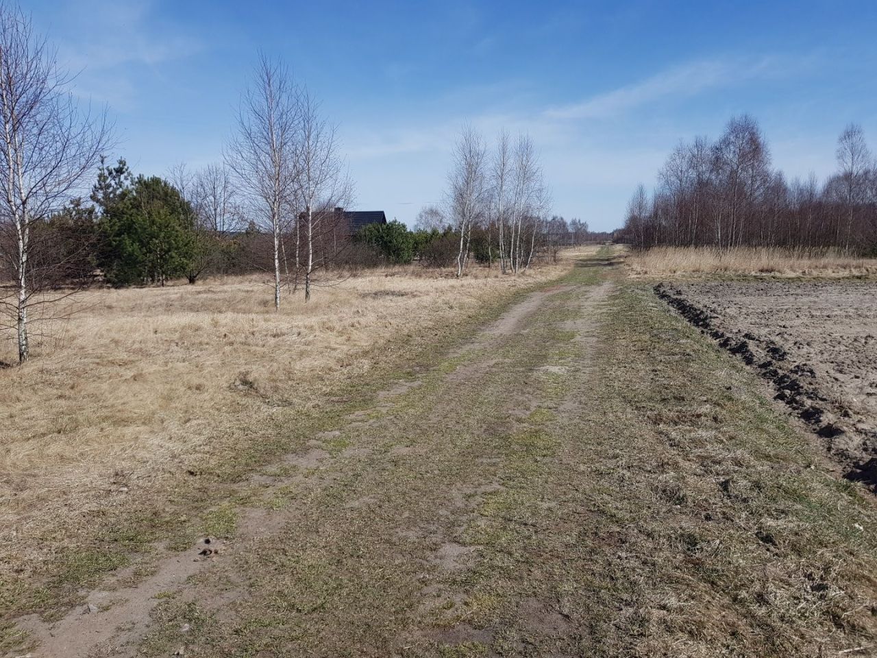 gospodarstwo Zaborowice. Zdjęcie 8