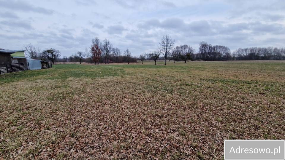 Działka inwestycyjna Gąsocin, ul. Pułtuska. Zdjęcie 6