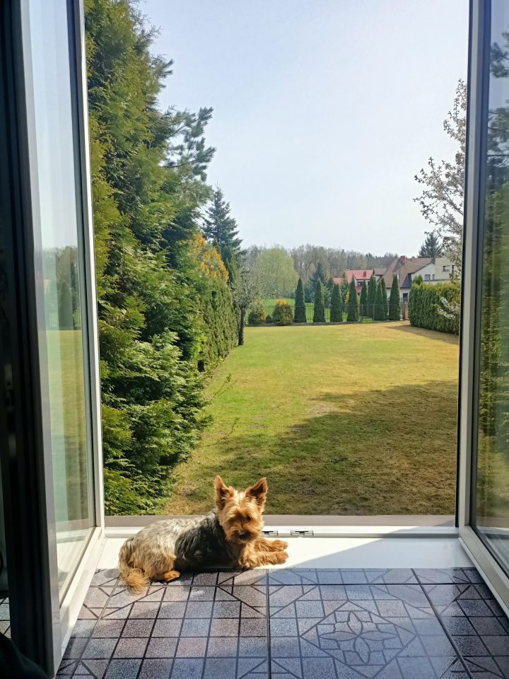 bliźniak, 5 pokoi Jastrzębie, ul. Graniczna. Zdjęcie 10