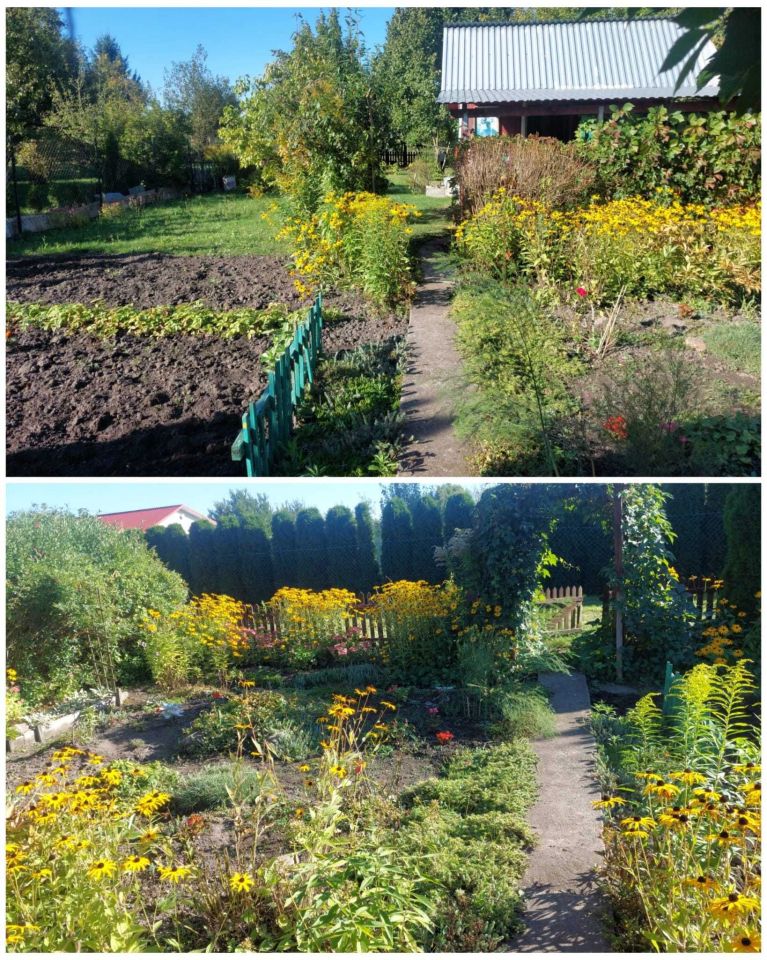 Działka rod Zamość. Zdjęcie 7