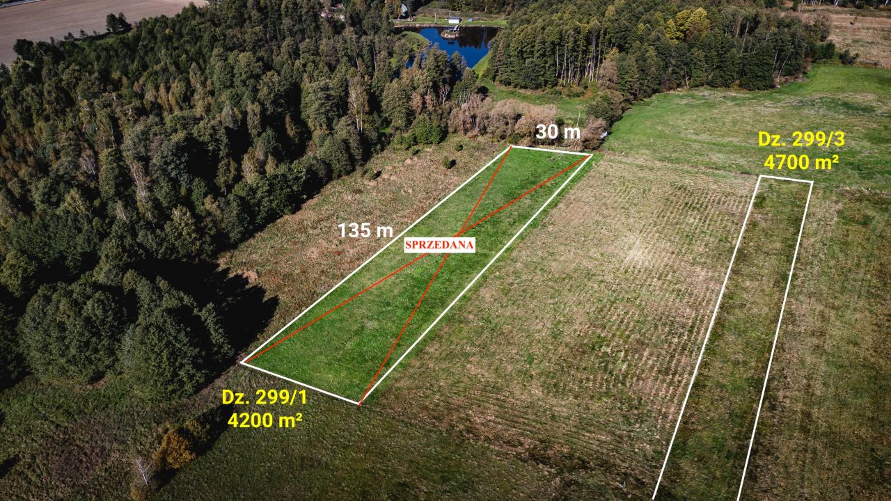 Działka rolna Żebrak. Zdjęcie 4