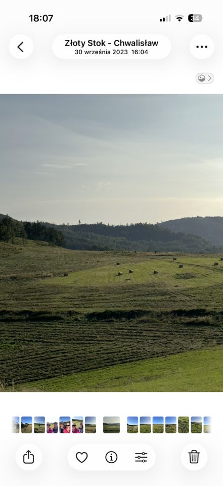 Działka rolna Chwalisław. Zdjęcie 4