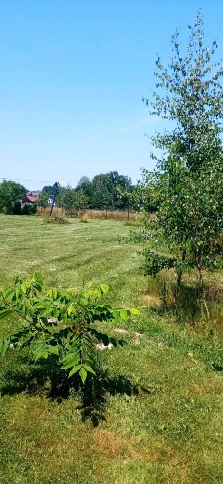 Działka budowlana Czechówka, ul. Kolonia. Zdjęcie 5