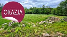 Działka inwestycyjna Sosnówka. Zdjęcie 4