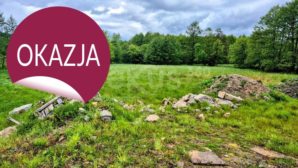 Działka inwestycyjna Sosnówka. Zdjęcie 6
