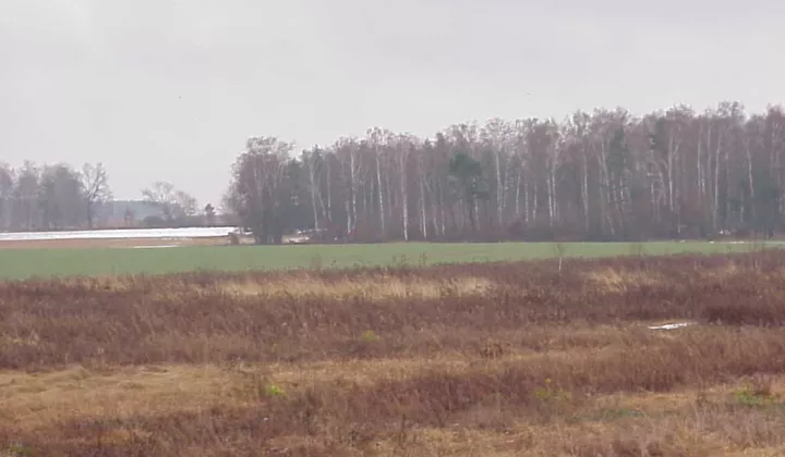 Działka rolna Bielawa