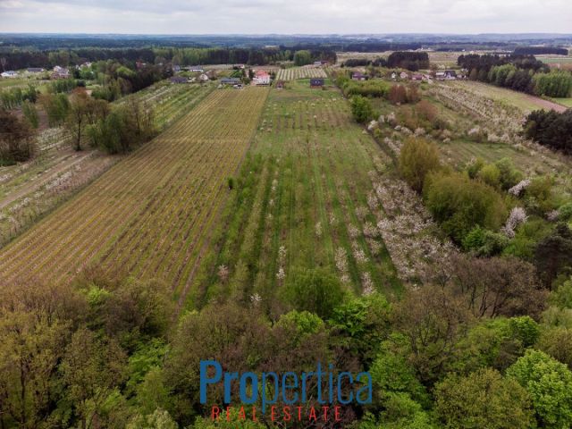 Działka budowlana Kocerany, ul. Nowy Trakt. Zdjęcie 8