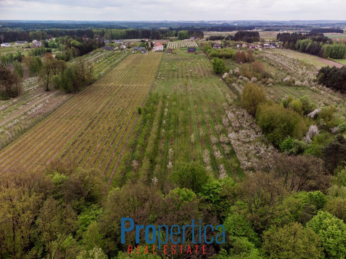 Działka budowlana Kocerany, ul. Nowy Trakt. Zdjęcie 8