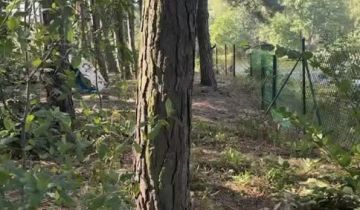 Działka leśna Wszebory