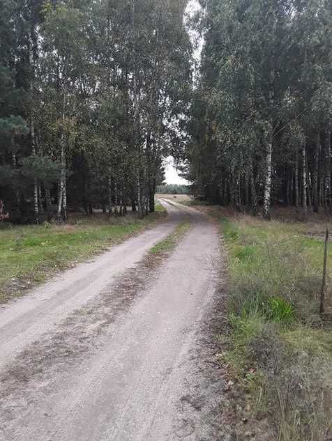 Działka rolno-budowlana Ostrówka. Zdjęcie 2
