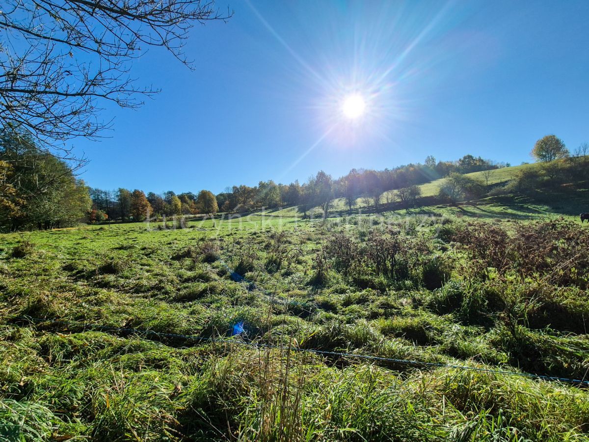 Działka inwestycyjna Czernica. Zdjęcie 6