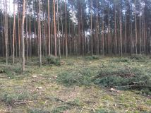 Działka budowlana Zielonka, ul. Koperkowa. Zdjęcie 4