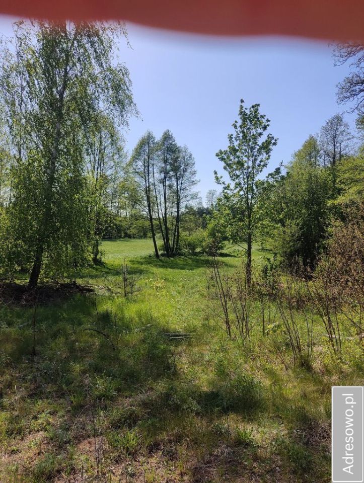 Działka siedliskowa Skudzawy. Zdjęcie 4